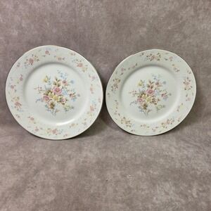 Fine China Floral Salad Plates Set of 2 Pink Yellow Blue Flowers Gold Rim